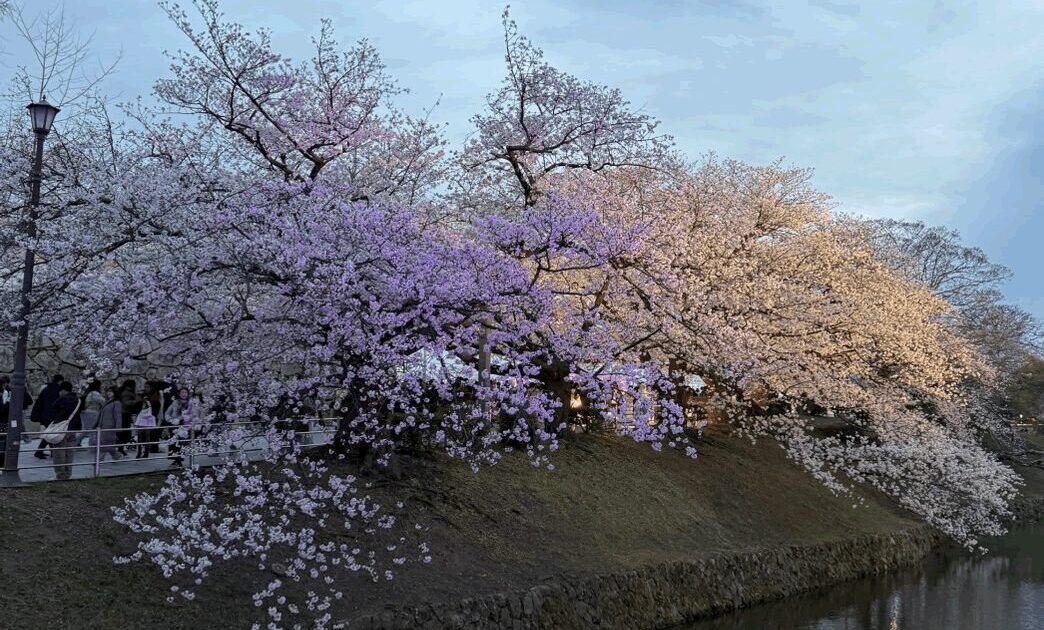 3月から4月にかけて、各業界ともに新年度に向けての大事な販促期間です。https://www.promy.cc/info//