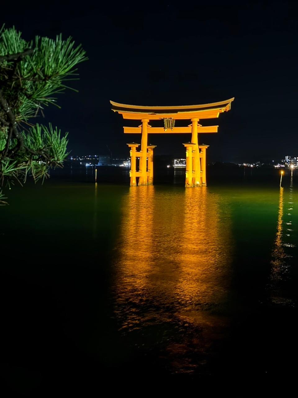 遅めの夏休み　久しぶりの旅宮島　厳島神社　観光😀干潮時の大鳥居も行けたし、鹿とも触れ合い、癒されました⛩️🦌#プロミー #福岡市 #ポスティング #福岡ポスティング #ポスティング福岡 #福岡市ポスティング #集客 #販促 #広告 #配布 #広告代理店 #チラシ #プロモーション #スタッフ募集 #幹部社員募集 #独立起業 #FC #久留米市 #北九州市 #鹿児島市 #マーケティング #followme #宮島 #厳島神社